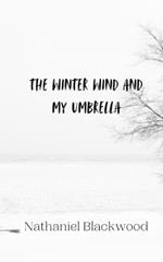 The Winter Wind and My Umbrella
