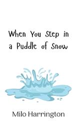 When You Step in a Puddle of Snow