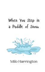 When You Step in a Puddle of Snow