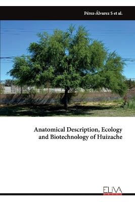 Anatomical Description, Ecology and Biotechnology of Huizache - Sandra Pérez Álvarez - cover