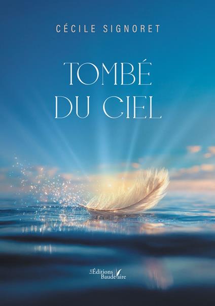 Tombé du ciel