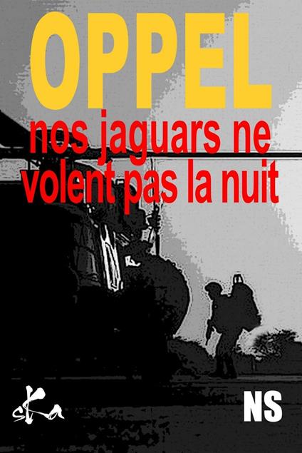 Nos jaguars ne volent pas la nuit