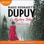 Le Vallon des loups - Le Mystère Soline, tome 2