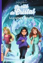 La cité de cristal, Tome 05