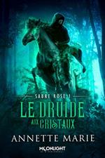 Le Druide aux cristaux