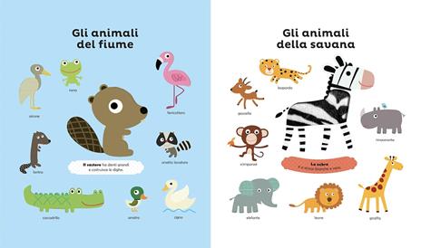 Gli animali. Ediz. a colori - 3