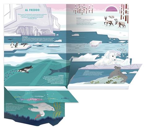 Gli animali selvatici. Ediz. illustrata - Bénédicte Le Loarer - 4