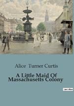 A Little Maid Of Massachusetts Colony