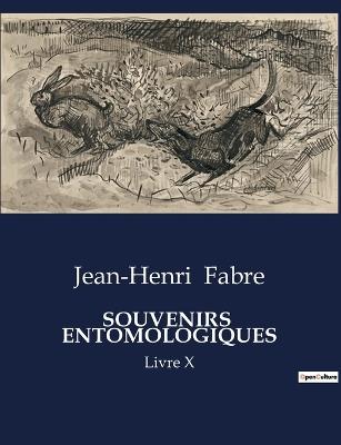 Souvenirs Entomologiques: Livre X - Jean-Henri Fabre - cover