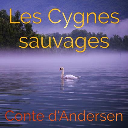 Les Cygnes sauvages
