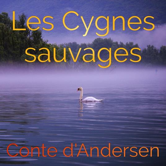 Les Cygnes sauvages