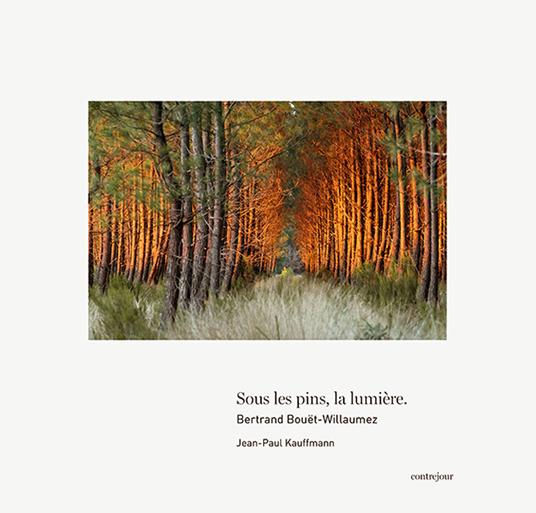 Sous les pins la lumière - Bertrand Bouët-Willaumez - copertina