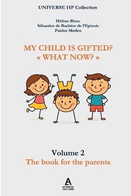 My child is gifted? "What now?" - Hélène Blanc,Sébastien de Buchère de l'Epinois,Patrice Merlen - cover