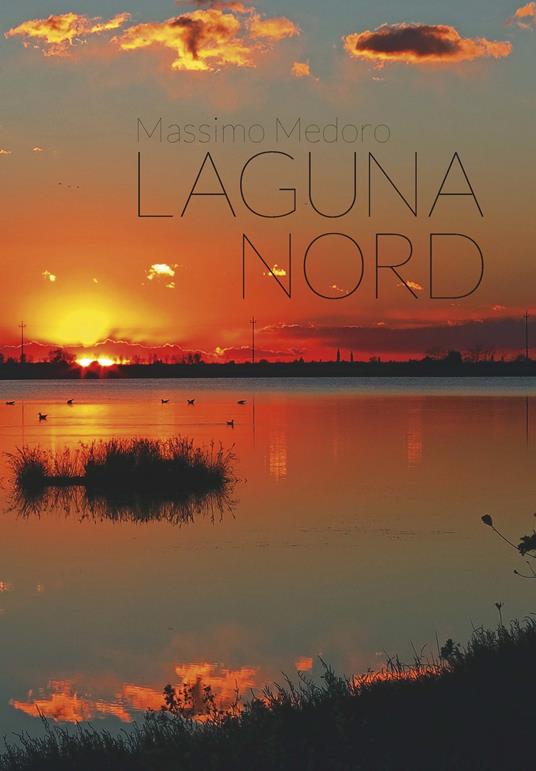 Laguna nord - Massimo Medoro - copertina