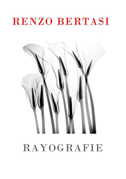 Rayografie. Catalogo della mostra (Realmonte, agosto-settembre 2018). Ediz. italiana e inglese - Renzo Bertasi - copertina
