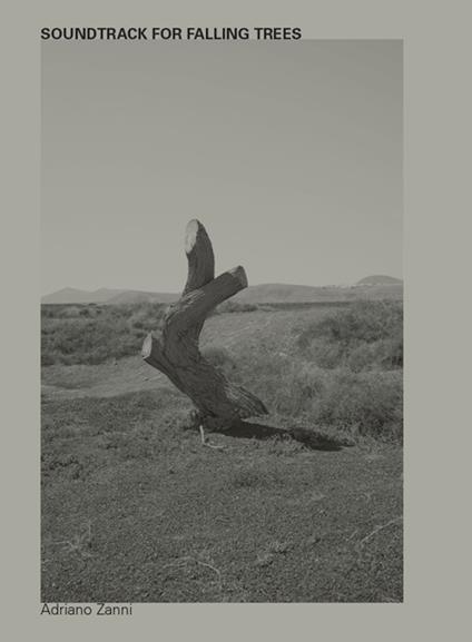 Soundtrack for falling trees. Ediz. inglese e italiana - Adriano Zanni - copertina