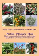 Photinia. Pittosporo. Idesia. Piante ornamentali adatte al clima mediterraneo