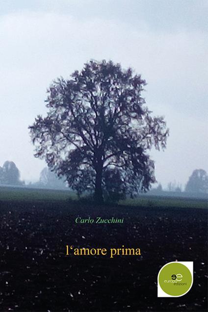 L' amore prima - Carlo Zucchini - copertina