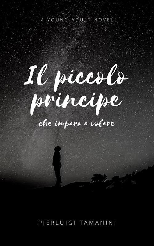 Il piccolo principe che imparò a volare - Pierluigi Tamanini - ebook