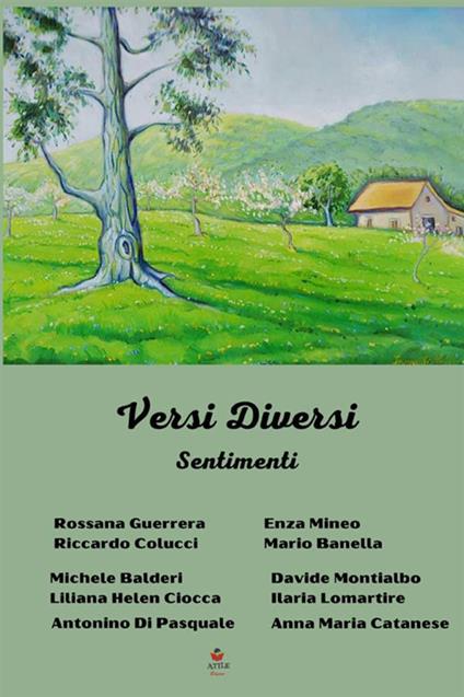 Versi diversi. Sentimenti - copertina