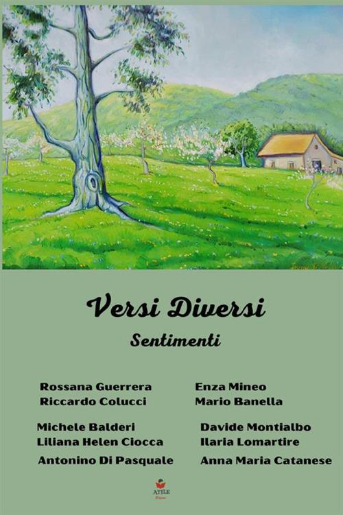 Versi diversi. Sentimenti - copertina