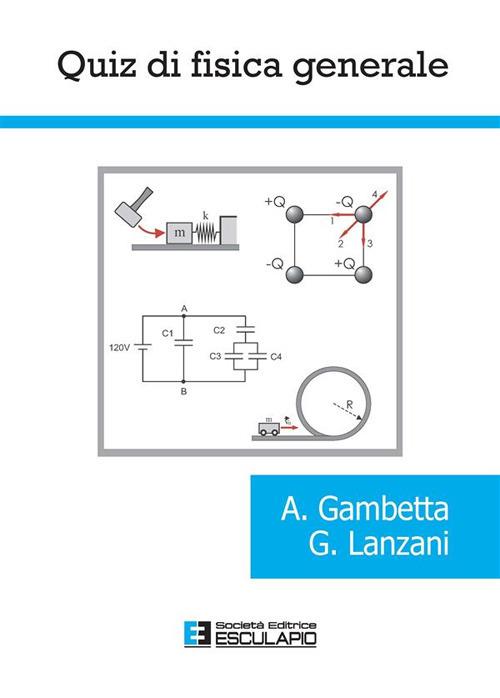 Quiz di fisica generale - Alessio Gambetta,Guglielmo Lanzani - ebook