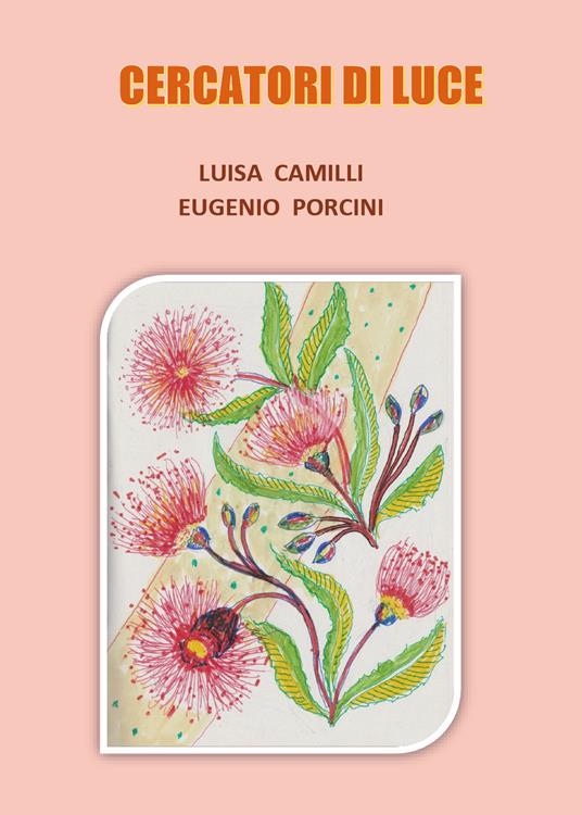 Cercatori di luce - Luisa Camilli,Eugenio Porcini - copertina