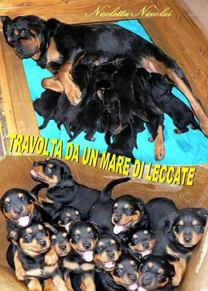 Travolta da un mare di leccate - Nicoletta Niccolai - copertina