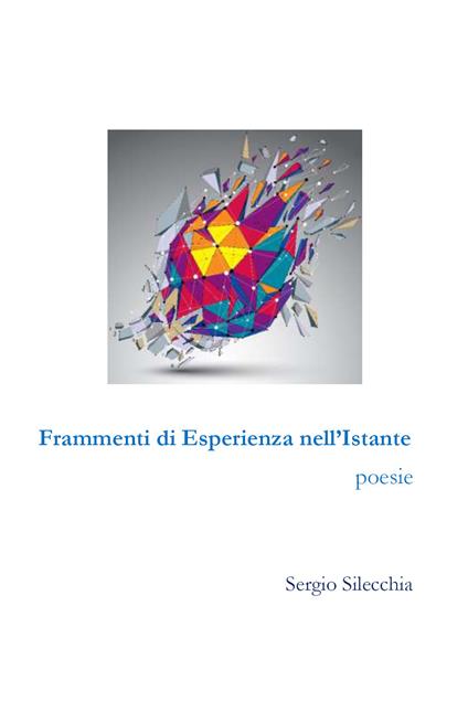 Frammenti di esperienza nell'istante - Sergio Silecchia - copertina