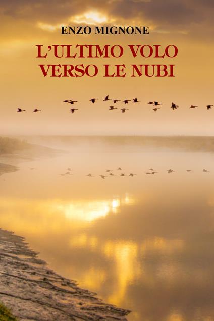 L' ultimo volo verso le nubi - Enzo Mignone - copertina
