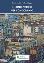 Il contenzioso nel condominio