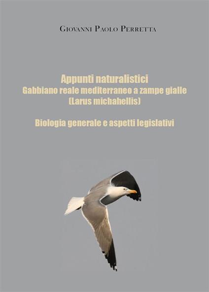 Appunti naturalistici. Gabbiano reale mediterraneo a zampe gialle (Larus michahellis) - Giovanni Perretta - ebook
