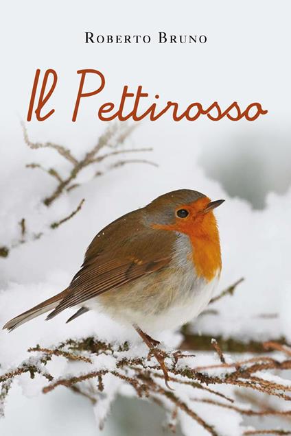 Il pettirosso - Roberto Bruno - copertina