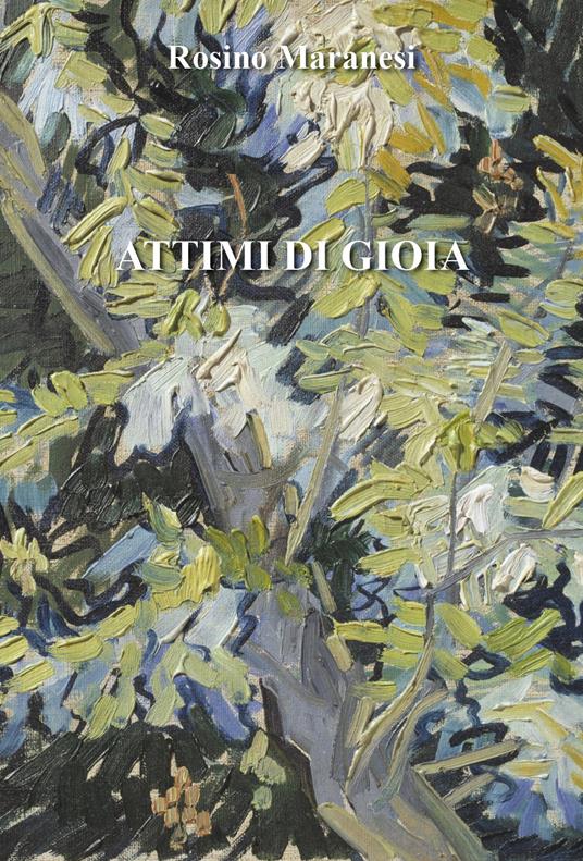 Attimi di gioia - Rosino Maranesi - copertina