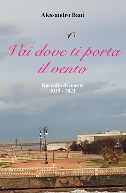 Vai dove ti porta il vento - Alessandro Bani - copertina