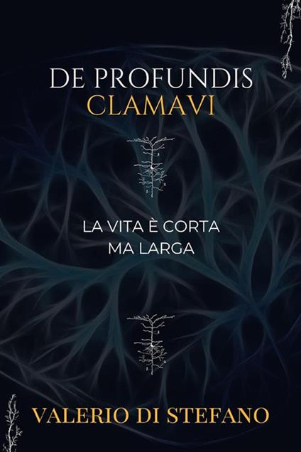 De profundis clamavi. La vita è corta ma larga - Valerio Di Stefano - ebook