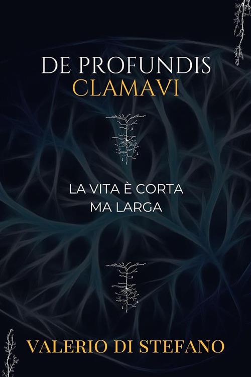 De profundis clamavi. La vita è corta ma larga - Valerio Di Stefano - ebook
