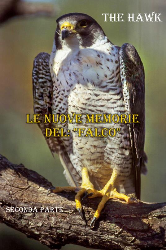 Le nuove memorie del: «Falco» - The Hawk - copertina