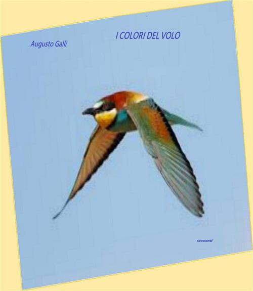 I colori del volo - Augusto Galli - ebook