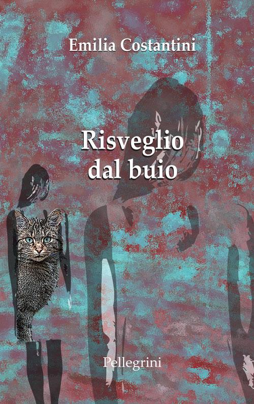 Risveglio dal buio - Emilia Costantini - ebook