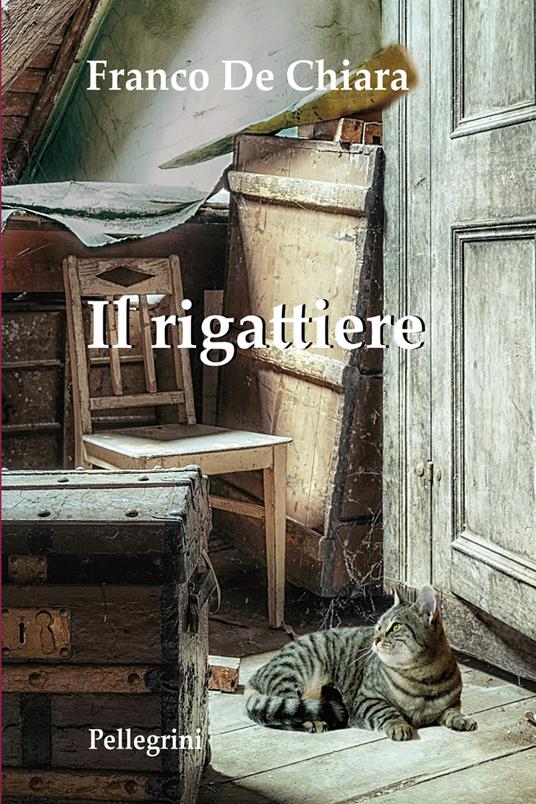 Il rigattiere - Franco De Chiara - copertina