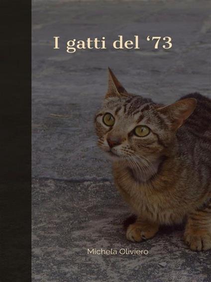 I gatti del '73 - Michela Oliviero - ebook
