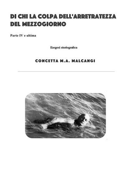 Di chi la colpa dell'arretratezza del Mezzogiorno?. Vol. 4 - Concetta M. A. Malcangi - ebook