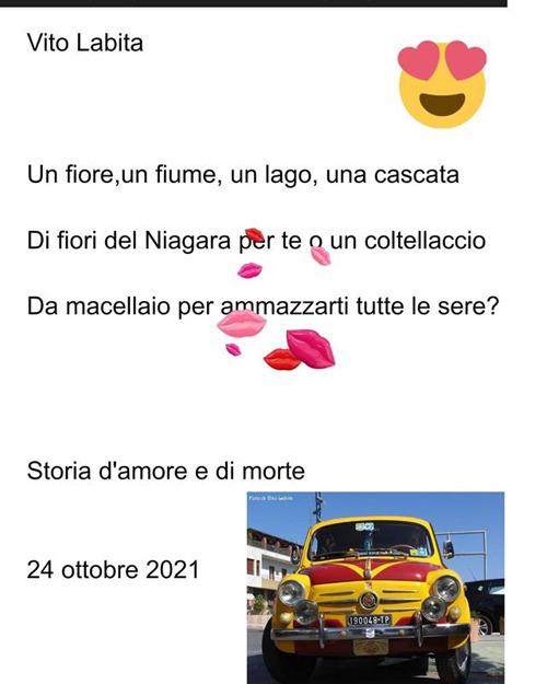 Un fiore, un fiume, un lago, una cascata di fiori del Niagara per te o un coltellaccio da macellaio per ammazzarti tutte le sere? Storia d'amore e di morte - Vito Labita - ebook
