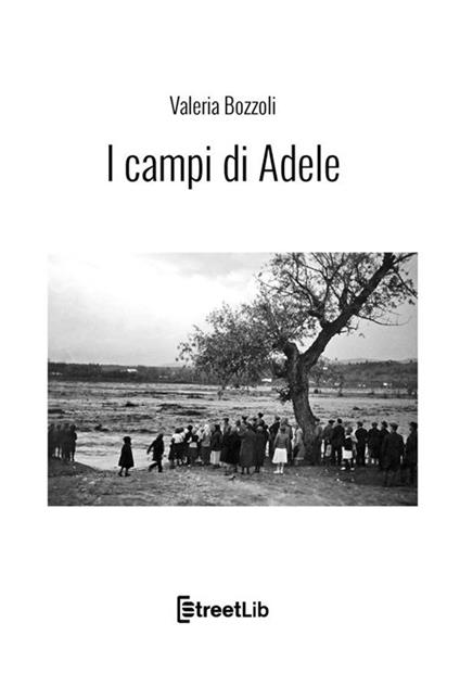 I campi di Adele - Valeria Bozzoli - copertina