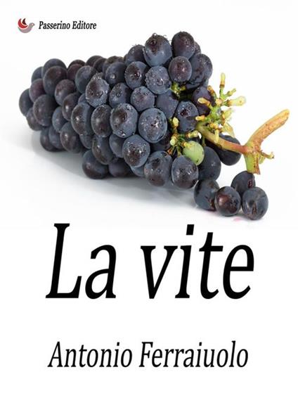La vite - Antonio Ferraiuolo - ebook