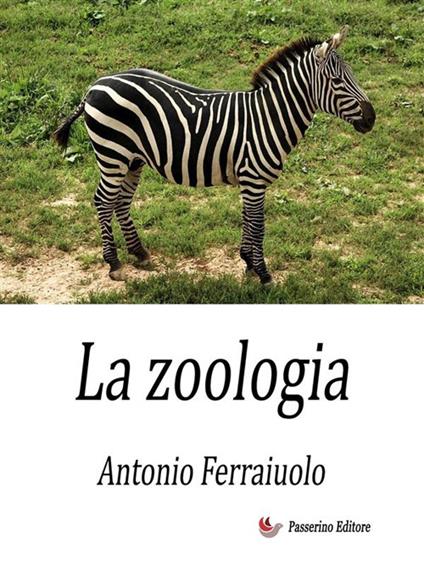 La zoologia - Antonio Ferraiuolo - ebook