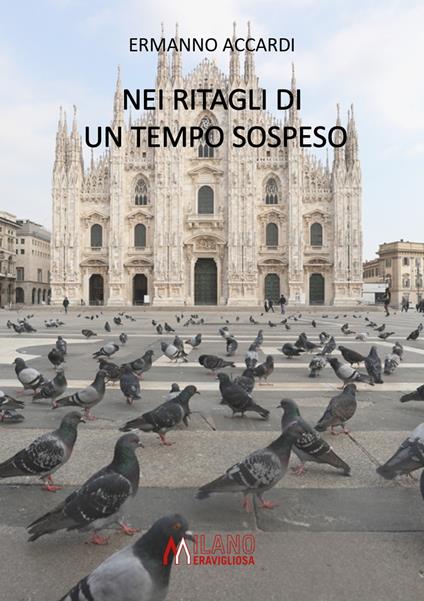 Nei ritagli di un tempo sospeso - Ermanno Accardi - copertina