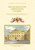 Opera Pia Mastai Ferretti e Stabilimento Pio in Senigallia. Evoluzione storico topografica dell'area della Maddalena e di Porta Colonna