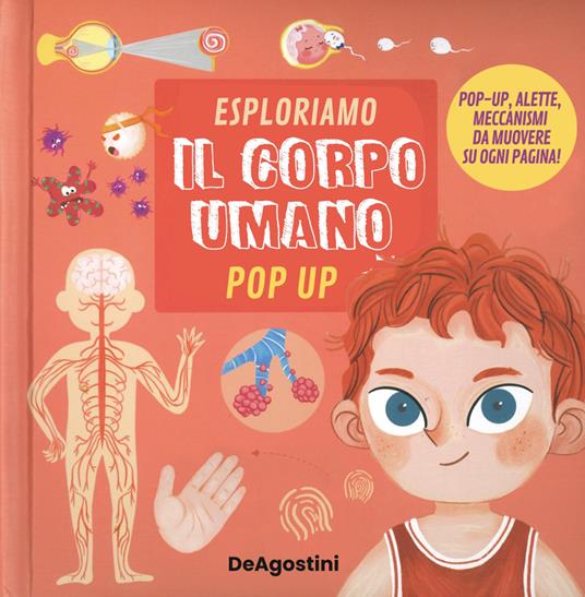 Esploriamo il corpo umano. Pop up. Ediz. a colori - copertina